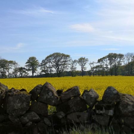 Wagtail Lodge Dinnet Bagian luar foto