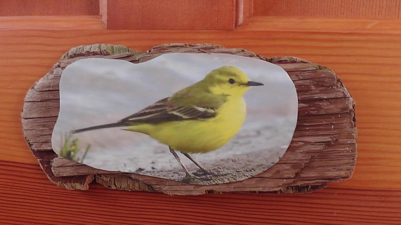 Wagtail Lodge Dinnet Bagian luar foto