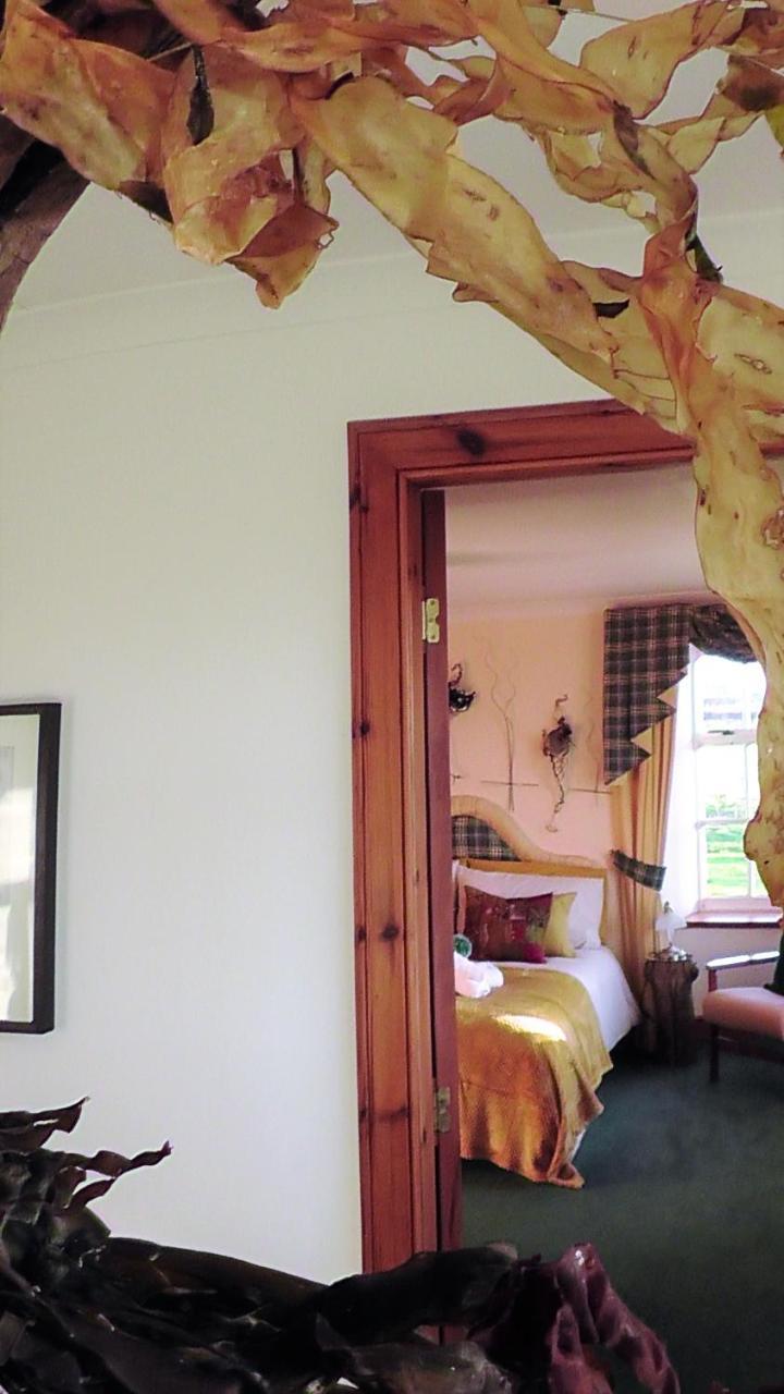 Wagtail Lodge Dinnet Bagian luar foto