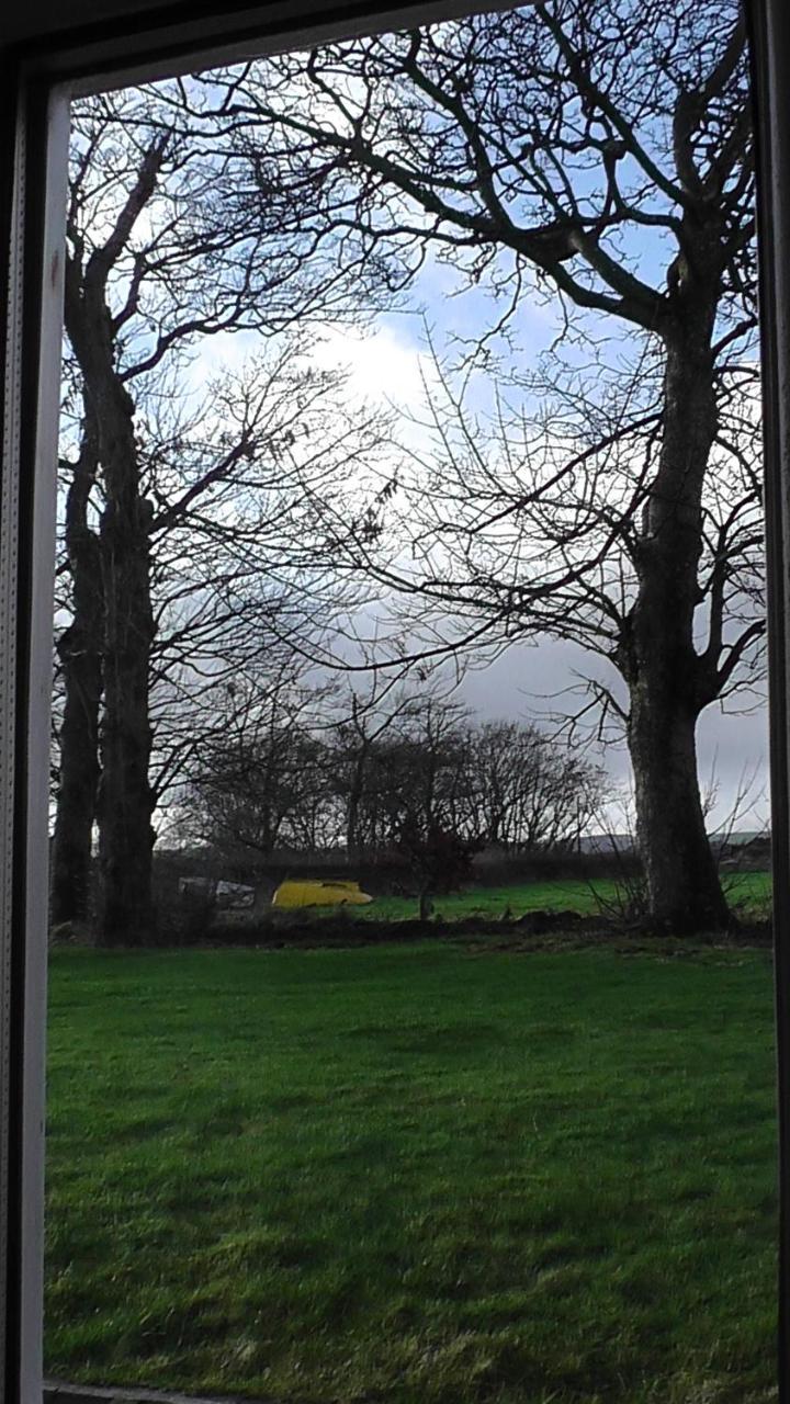 Wagtail Lodge Dinnet Bagian luar foto